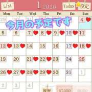 ヒメ日記 2026/01/04 07:30 投稿 あおい 御奉仕関係 -淑女の秘め事-