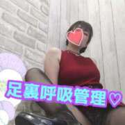 ヒメ日記 2026/01/08 14:45 投稿 あおい 御奉仕関係 -淑女の秘め事-