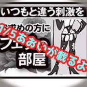 ヒメ日記 2026/01/11 20:15 投稿 あおい 御奉仕関係 -淑女の秘め事-