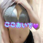 ヒメ日記 2026/01/26 17:15 投稿 あおい 御奉仕関係 -淑女の秘め事-