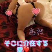 ヒメ日記 2026/01/27 23:15 投稿 あおい 御奉仕関係 -淑女の秘め事-