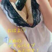 ヒメ日記 2026/02/11 08:45 投稿 あおい 御奉仕関係 -淑女の秘め事-