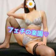 ヒメ日記 2026/02/14 08:45 投稿 あおい 御奉仕関係 -淑女の秘め事-