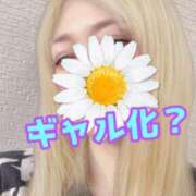 ヒメ日記 2026/02/15 00:45 投稿 あおい 御奉仕関係 -淑女の秘め事-