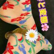 ヒメ日記 2026/02/15 23:45 投稿 あおい 御奉仕関係 -淑女の秘め事-