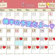 ヒメ日記 2026/02/18 07:30 投稿 あおい 御奉仕関係 -淑女の秘め事-