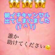 ヒメ日記 2026/02/21 08:37 投稿 あおい 御奉仕関係 -淑女の秘め事-