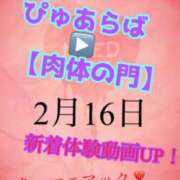 ヒメ日記 2026/02/21 12:16 投稿 あおい 御奉仕関係 -淑女の秘め事-