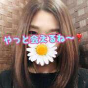 ヒメ日記 2026/02/22 08:45 投稿 あおい 御奉仕関係 -淑女の秘め事-