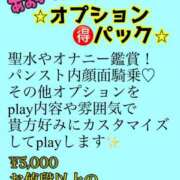 ヒメ日記 2026/02/25 17:15 投稿 あおい 御奉仕関係 -淑女の秘め事-