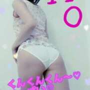 ヒメ日記 2026/03/02 21:15 投稿 あおい 御奉仕関係 -淑女の秘め事-