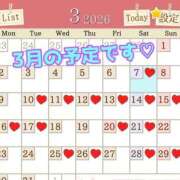 ヒメ日記 2026/03/04 07:30 投稿 あおい 御奉仕関係 -淑女の秘め事-