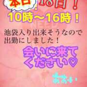 ヒメ日記 2026/03/18 00:45 投稿 あおい 御奉仕関係 -淑女の秘め事-