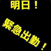 ヒメ日記 2026/03/25 23:45 投稿 あおい 御奉仕関係 -淑女の秘め事-