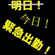 ヒメ日記 2026/03/26 07:30 投稿 あおい 御奉仕関係 -淑女の秘め事-