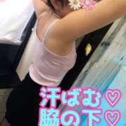 ヒメ日記 2026/04/08 10:15 投稿 あおい 御奉仕関係 -淑女の秘め事-