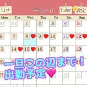 ヒメ日記 2026/04/08 12:16 投稿 あおい 御奉仕関係 -淑女の秘め事-