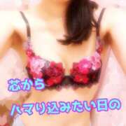 ヒメ日記 2026/04/17 19:30 投稿 あおい 御奉仕関係 -淑女の秘め事-