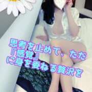 ヒメ日記 2026/04/18 14:45 投稿 あおい 御奉仕関係 -淑女の秘め事-