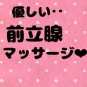 ヒメ日記 2026/04/23 01:00 投稿 あおい 御奉仕関係 -淑女の秘め事-