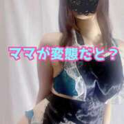 ヒメ日記 2026/04/29 14:45 投稿 あおい 御奉仕関係 -淑女の秘め事-