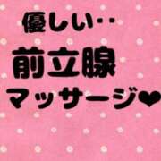 ヒメ日記 2026/05/10 16:01 投稿 あおい 御奉仕関係 -淑女の秘め事-