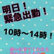 ヒメ日記 2026/05/13 21:16 投稿 あおい 御奉仕関係 -淑女の秘め事-