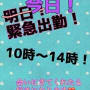 ヒメ日記 2026/05/14 11:01 投稿 あおい 御奉仕関係 -淑女の秘め事-