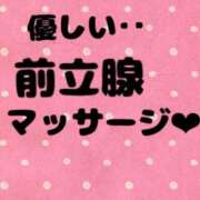 ヒメ日記 2026/05/15 11:01 投稿 あおい 御奉仕関係 -淑女の秘め事-
