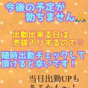 ヒメ日記 2026/05/15 23:45 投稿 あおい 御奉仕関係 -淑女の秘め事-