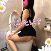 ヒメ日記 2026/05/25 16:30 投稿 あおい 御奉仕関係 -淑女の秘め事-