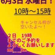 ヒメ日記 2026/06/02 01:00 投稿 あおい 御奉仕関係 -淑女の秘め事-