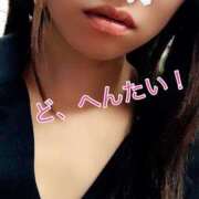 ヒメ日記 2026/06/03 12:16 投稿 あおい 御奉仕関係 -淑女の秘め事-