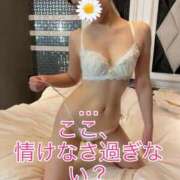 ヒメ日記 2026/06/14 10:36 投稿 あおい 御奉仕関係 -淑女の秘め事-