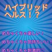 ヒメ日記 2026/06/30 21:15 投稿 あおい 御奉仕関係 -淑女の秘め事-