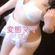 ヒメ日記 2026/07/14 20:15 投稿 あおい 御奉仕関係 -淑女の秘め事-