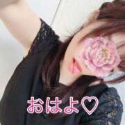 ヒメ日記 2026/08/30 07:44 投稿 あおい 御奉仕関係 -淑女の秘め事-