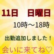 ヒメ日記 2026/10/09 16:45 投稿 あおい 御奉仕関係 -淑女の秘め事-