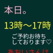 ヒメ日記 2026/10/13 01:00 投稿 あおい 御奉仕関係 -淑女の秘め事-