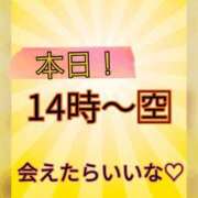 ヒメ日記 2026/10/17 01:00 投稿 あおい 御奉仕関係 -淑女の秘め事-
