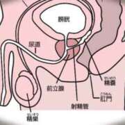 ヒメ日記 2023/10/09 21:31 投稿 あおい 肉体の門