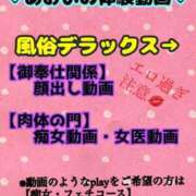 ヒメ日記 2024/06/20 01:45 投稿 あおい 肉体の門