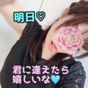 ヒメ日記 2024/12/16 23:30 投稿 あおい 肉体の門