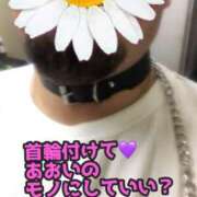 ヒメ日記 2025/03/13 15:00 投稿 あおい 肉体の門