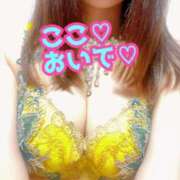 ヒメ日記 2025/04/03 00:45 投稿 あおい 肉体の門