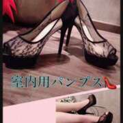 ヒメ日記 2025/04/19 16:45 投稿 あおい 肉体の門