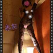 ヒメ日記 2025/05/22 14:30 投稿 あおい 肉体の門