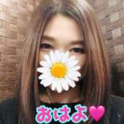 ヒメ日記 2025/10/16 09:12 投稿 あおい 肉体の門