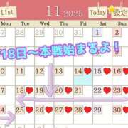 ヒメ日記 2025/11/15 07:30 投稿 あおい 肉体の門