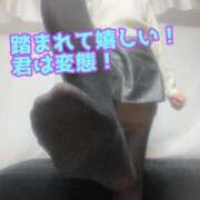 ヒメ日記 2025/11/27 14:45 投稿 あおい 肉体の門